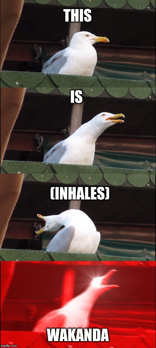 Inhaling Seagull Meme | THIS; IS; (INHALES); WAKANDA | image tagged in memes,inhaling seagull | made w/ Imgflip meme maker