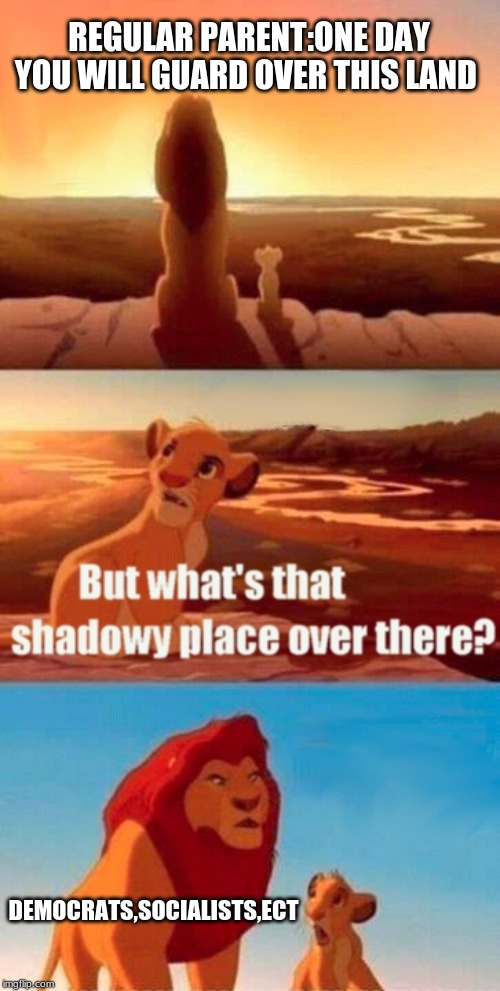 Simba Shadowy Place Meme | REGULAR PARENT:ONE DAY YOU WILL GUARD OVER THIS LAND; DEMOCRATS,SOCIALISTS,ECT | image tagged in memes,simba shadowy place | made w/ Imgflip meme maker