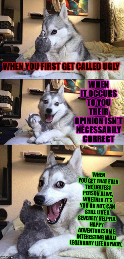 Bad Pun Dog | WHEN YOU FIRST GET CALLED UGLY; WHEN IT OCCURS TO YOU THEIR OPINION ISN'T NECESSARILY CORRECT; WHEN YOU GET THAT EVEN THE UGLIEST PERSON ALIVE, WHETHER IT'S YOU OR NOT, CAN STILL LIVE A SEVERELY HELPFUL HAPPY ADVENTURESOME INTERESTING WILD LEGENDARY LIFE ANYWAY. | image tagged in memes,bad pun dog | made w/ Imgflip meme maker