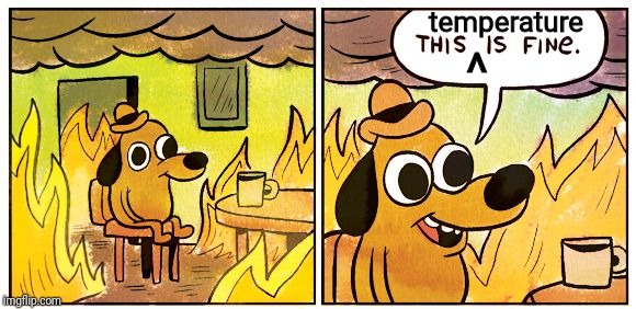This Is Fine Meme | temperature ^ | image tagged in this is fine dog | made w/ Imgflip meme maker