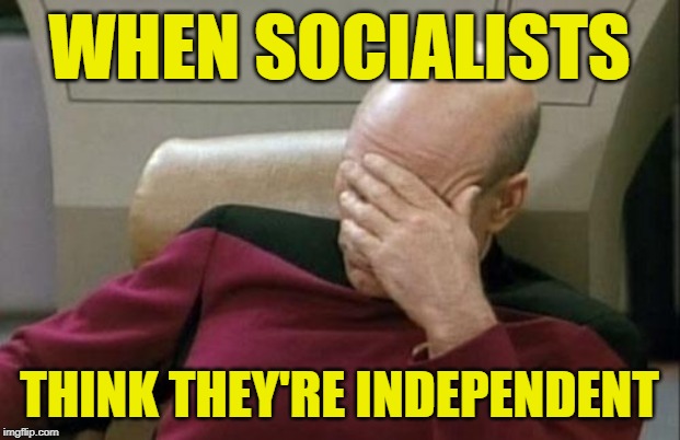 Independent Socialists | WHEN SOCIALISTS; THINK THEY'RE INDEPENDENT | image tagged in captain picard facepalm,socialism,political memes,independence,stupidity,idiocracy | made w/ Imgflip meme maker