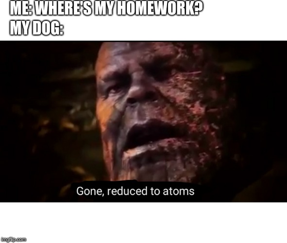 ME: WHERE'S MY HOMEWORK? MY DOG: | image tagged in thanos | made w/ Imgflip meme maker