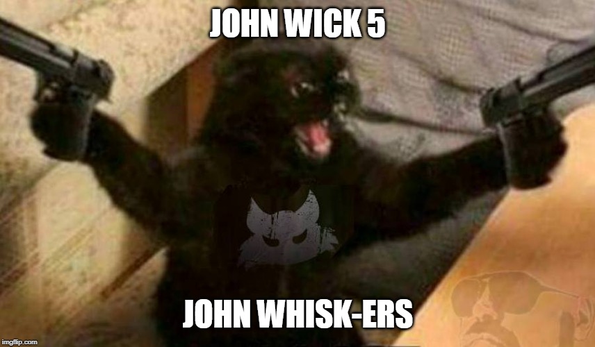 Cat With Guns | JOHN WICK 5; JOHN WHISK-ERS | image tagged in cat with guns | made w/ Imgflip meme maker