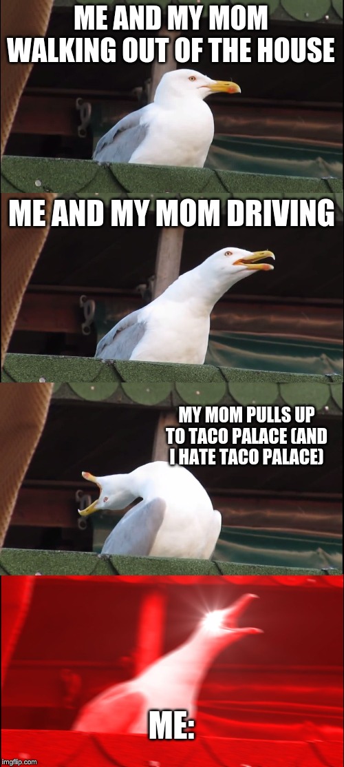 Inhaling Seagull Meme | ME AND MY MOM WALKING OUT OF THE HOUSE; ME AND MY MOM DRIVING; MY MOM PULLS UP TO TACO PALACE (AND I HATE TACO PALACE); ME: | image tagged in memes,inhaling seagull | made w/ Imgflip meme maker