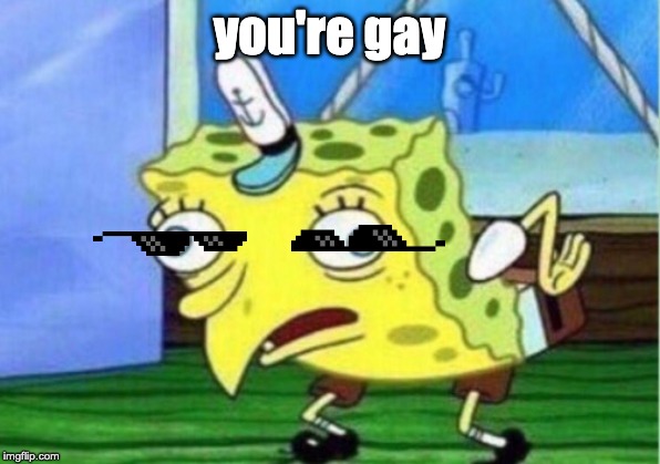 Mocking Spongebob | you're gay | image tagged in memes,mocking spongebob | made w/ Imgflip meme maker