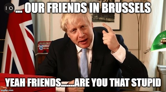 bollocks to boris | ... OUR FRIENDS IN BRUSSELS; YEAH FRIENDS.......ARE YOU THAT STUPID | image tagged in bollocks to boris | made w/ Imgflip meme maker