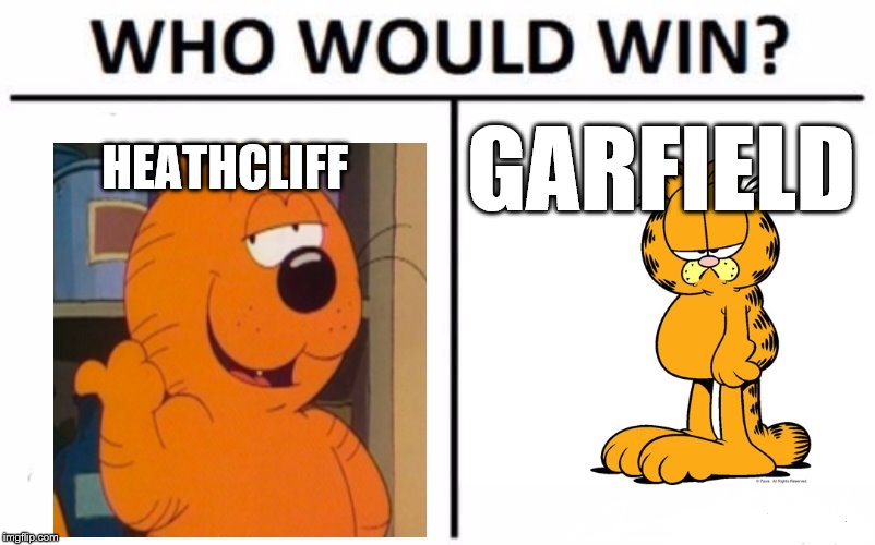HEATHCLIFF; GARFIELD | image tagged in garfield,heathcliff,cats,who would win | made w/ Imgflip meme maker