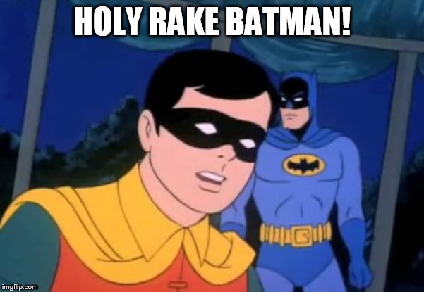 Holy _______, Batman! | HOLY RAKE BATMAN! | image tagged in holy _______ batman | made w/ Imgflip meme maker