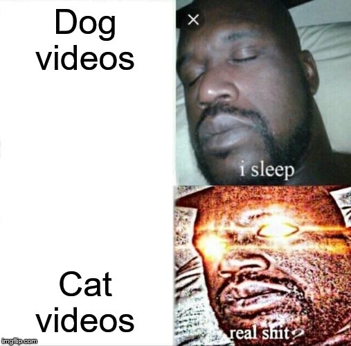 Sleeping Shaq | Dog videos; Cat videos | image tagged in memes,sleeping shaq | made w/ Imgflip meme maker