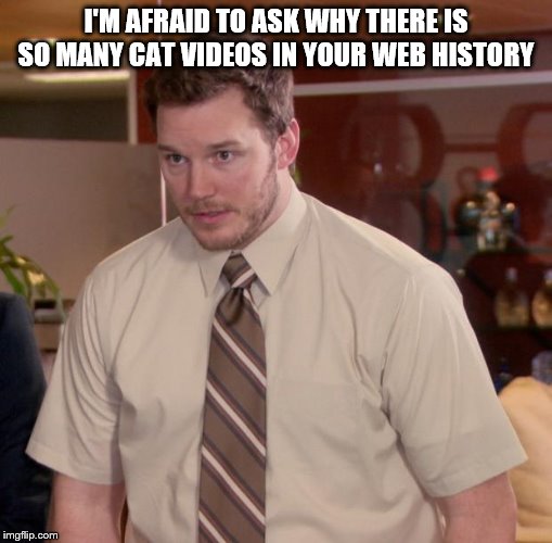 When your friend borrow your laptop | I'M AFRAID TO ASK WHY THERE IS SO MANY CAT VIDEOS IN YOUR WEB HISTORY | image tagged in memes,afraid to ask andy | made w/ Imgflip meme maker