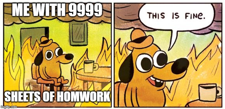 This Is Fine Meme | ME WITH 9999; SHEETS OF HOMWORK | image tagged in this is fine dog | made w/ Imgflip meme maker