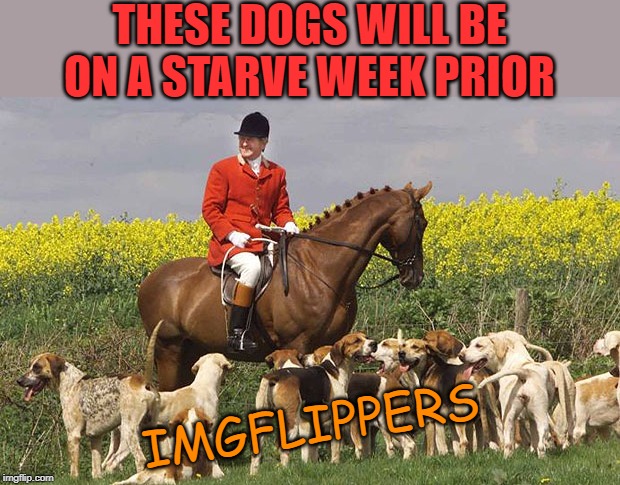 Fox Hunting | THESE DOGS WILL BE ON A STARVE WEEK PRIOR IMGFLIPPERS | image tagged in fox hunting | made w/ Imgflip meme maker
