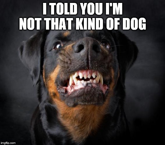 dog growl | I TOLD YOU I'M NOT THAT KIND OF DOG | image tagged in dog growl | made w/ Imgflip meme maker