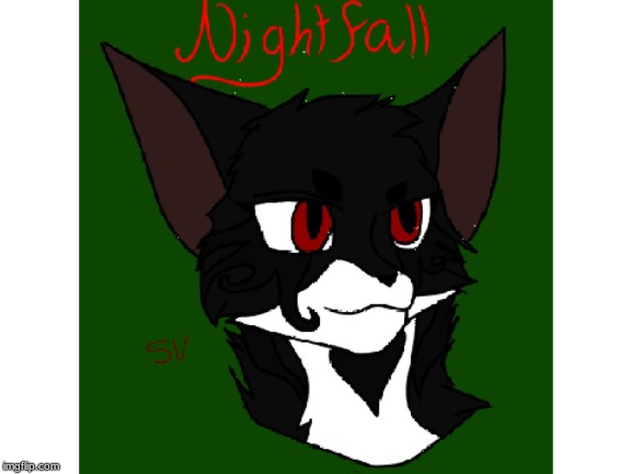 Nightfall, a warrior cats oc. A close friend named imjustacat (werewolf174 on animal jam) drew this for me | image tagged in warrior cats,original character | made w/ Imgflip meme maker