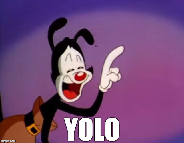 YOLO | YOLO | image tagged in yakko,yolo | made w/ Imgflip meme maker