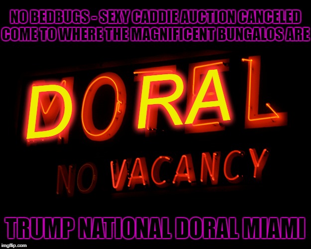 More than a Motel - Trump National Doral MIAMI | NO BEDBUGS - SEXY CADDIE AUCTION CANCELED
COME TO WHERE THE MAGNIFICENT BUNGALOS ARE; D   RA; TRUMP NATIONAL DORAL MIAMI | image tagged in doral,trump national doral,miami,vacancy,no bedbugs,no sexy caddie auction | made w/ Imgflip meme maker