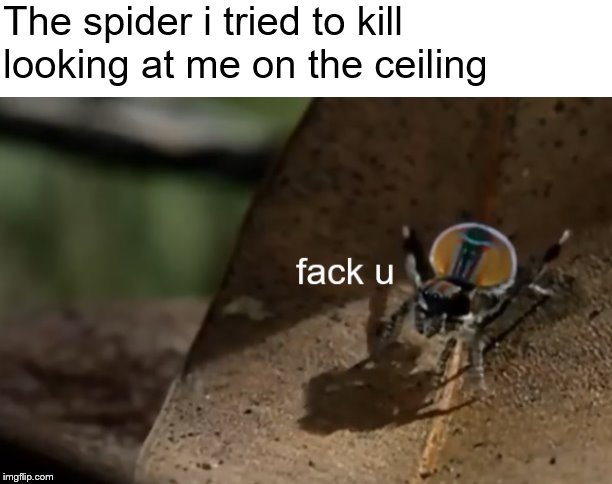 fack u | The spider i tried to kill looking at me on the ceiling | image tagged in fack u | made w/ Imgflip meme maker