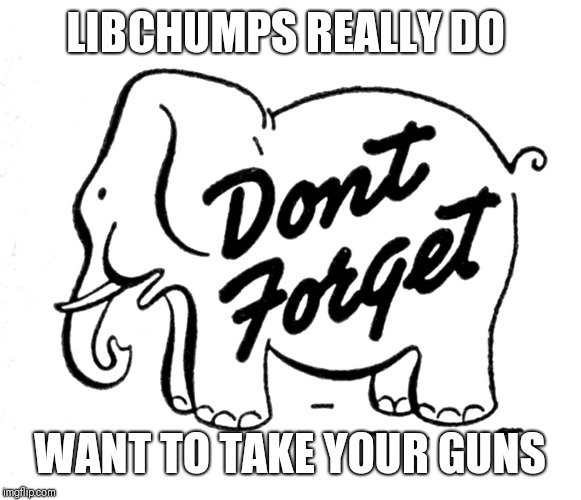 LIBCHUMPS REALLY DO; WANT TO TAKE YOUR GUNS | image tagged in funny memes,donald trump | made w/ Imgflip meme maker