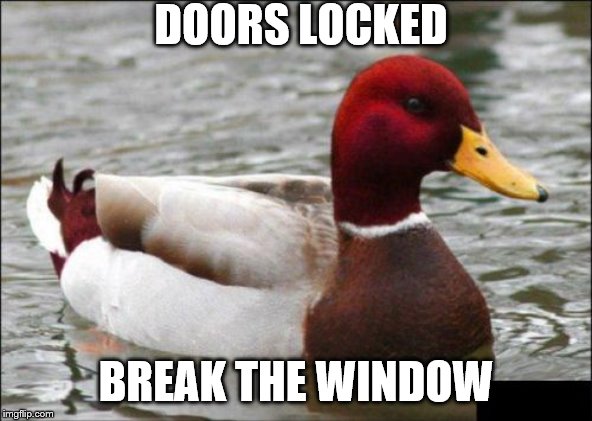 Malicious Advice Mallard Meme | DOORS LOCKED; BREAK THE WINDOW | image tagged in memes,malicious advice mallard | made w/ Imgflip meme maker