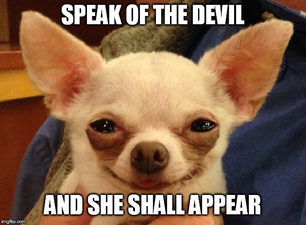 Devil dog | SPEAK OF THE DEVIL; AND SHE SHALL APPEAR | image tagged in devil dog | made w/ Imgflip meme maker
