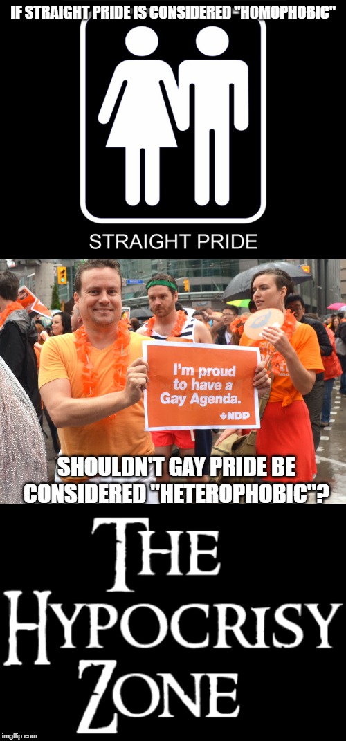 When there's an agenda, logic is always thrown out the window! | IF STRAIGHT PRIDE IS CONSIDERED "HOMOPHOBIC"; SHOULDN'T GAY PRIDE BE CONSIDERED "HETEROPHOBIC"? | image tagged in straight pride,liberal hypocrisy,gay agenda | made w/ Imgflip meme maker