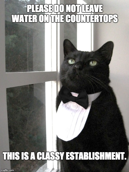 Classy Establishement | PLEASE DO NOT LEAVE WATER ON THE COUNTERTOPS; THIS IS A CLASSY ESTABLISHMENT. | image tagged in cats,stay classy,classy,clean up | made w/ Imgflip meme maker
