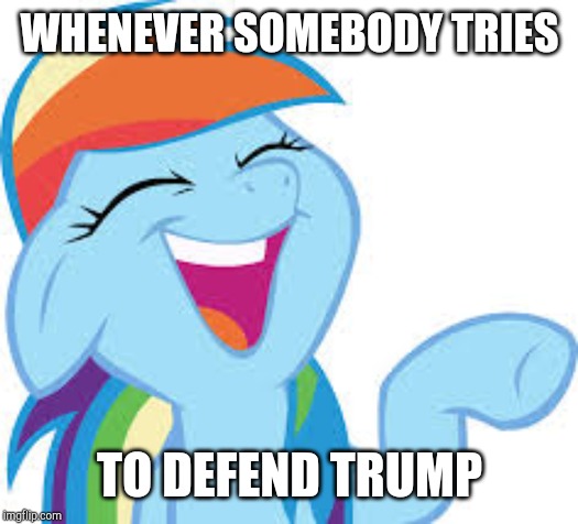 It's so stupid, it's funny! | WHENEVER SOMEBODY TRIES; TO DEFEND TRUMP | image tagged in rainbow dash laughing,memes,trump | made w/ Imgflip meme maker