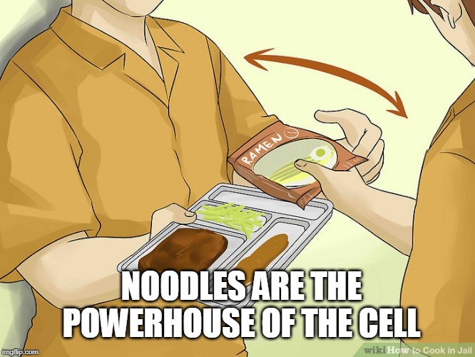 noodles | NOODLES ARE THE POWERHOUSE OF THE CELL | image tagged in noodles | made w/ Imgflip meme maker