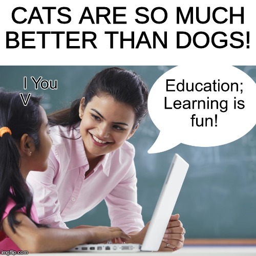 Cats are ALWAYS better!! | CATS ARE SO MUCH BETTER THAN DOGS! | image tagged in education learning is fun template,cats,cats or dogs,cats are better | made w/ Imgflip meme maker