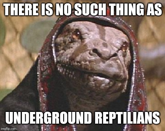 Doom Snake | THERE IS NO SUCH THING AS; UNDERGROUND REPTILIANS | image tagged in doom snake | made w/ Imgflip meme maker