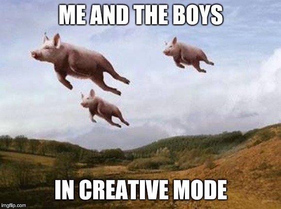 Pigs Fly | ME AND THE BOYS; IN CREATIVE MODE | image tagged in pigs fly | made w/ Imgflip meme maker