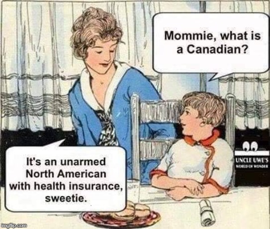 Too true. | . | image tagged in canada,united states,guns,health insurance | made w/ Imgflip meme maker