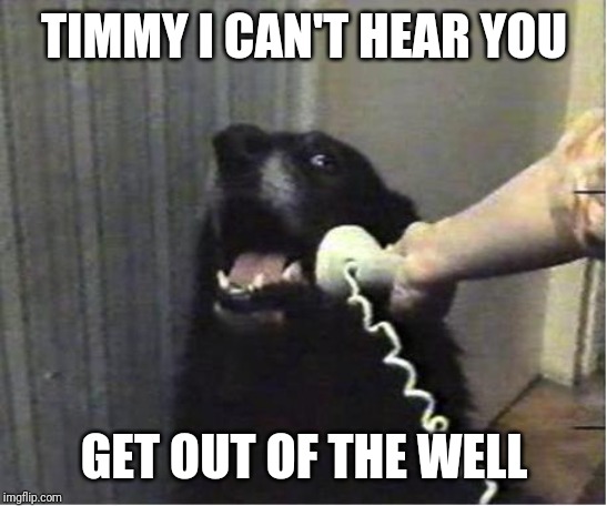 Yes this is dog | TIMMY I CAN'T HEAR YOU; GET OUT OF THE WELL | image tagged in yes this is dog | made w/ Imgflip meme maker