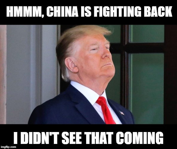 But it wasn't in the script | HMMM, CHINA IS FIGHTING BACK; I DIDN'T SEE THAT COMING | image tagged in memes,politics,impeach trump,idiot,maga,doh | made w/ Imgflip meme maker