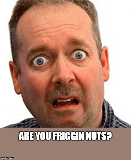 ARE YOU FRIGGIN NUTS? | made w/ Imgflip meme maker