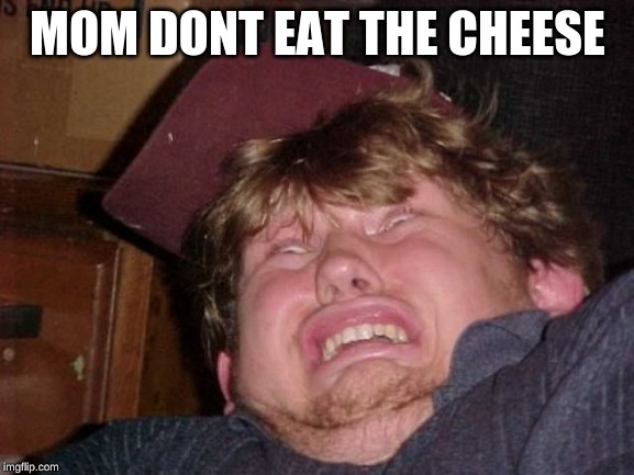 WTF | MOM DONT EAT THE CHEESE | image tagged in memes | made w/ Imgflip meme maker