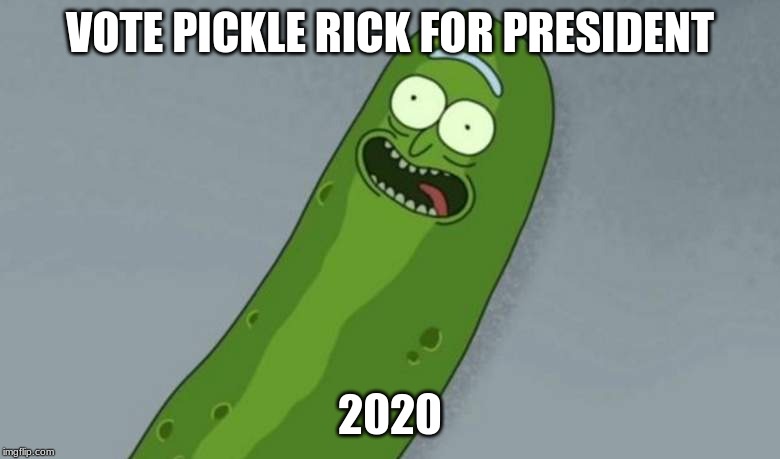 Pickle rick | VOTE PICKLE RICK FOR PRESIDENT; 2020 | image tagged in pickle rick,memes,2020,president | made w/ Imgflip meme maker