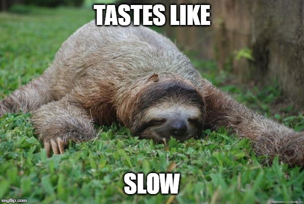 Sleeping sloth |  TASTES LIKE; SLOW | image tagged in sleeping sloth | made w/ Imgflip meme maker