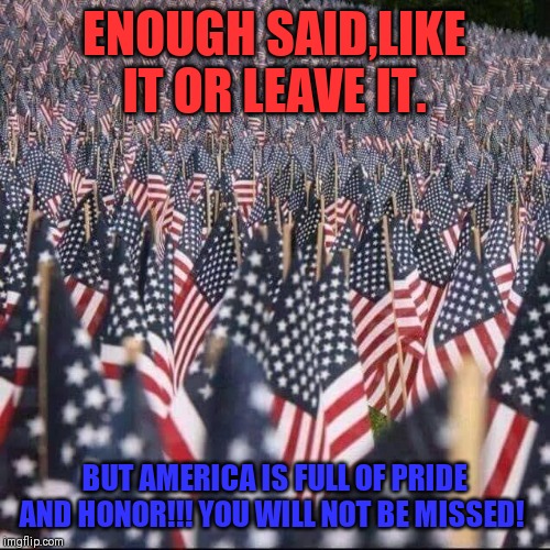 American pride | ENOUGH SAID,LIKE IT OR LEAVE IT. BUT AMERICA IS FULL OF PRIDE AND HONOR!!! YOU WILL NOT BE MISSED! | image tagged in love you | made w/ Imgflip meme maker