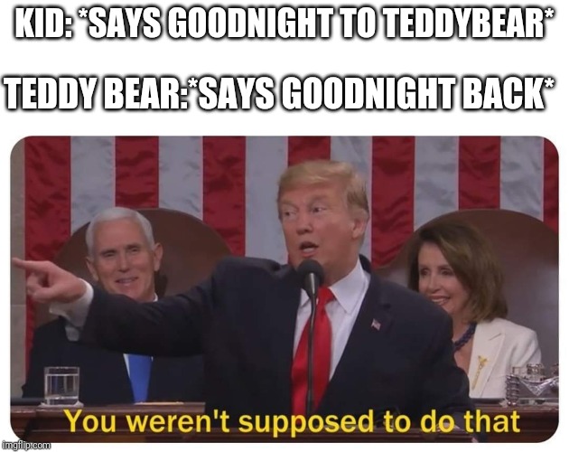 You weren't supposed to do that | TEDDY BEAR:*SAYS GOODNIGHT BACK*; KID: *SAYS GOODNIGHT TO TEDDYBEAR* | image tagged in you weren't supposed to do that | made w/ Imgflip meme maker