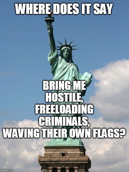 If this comes with the "tired, poor, huddled masses" they can stay away too... | WHERE DOES IT SAY; BRING ME HOSTILE, FREELOADING CRIMINALS,
WAVING THEIR OWN FLAGS? | image tagged in statue of liberty,illegal immigrants,freeloaders,undocumented immigrants,criminals,memes | made w/ Imgflip meme maker