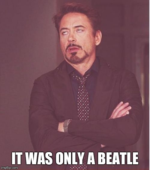Face You Make Robert Downey Jr Meme | IT WAS ONLY A BEATLE | image tagged in memes,face you make robert downey jr | made w/ Imgflip meme maker