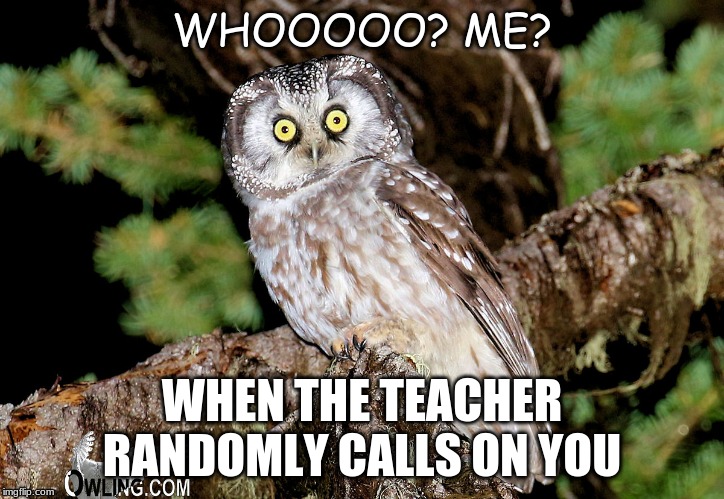 WHOOOOO? ME? WHEN THE TEACHER RANDOMLY CALLS ON YOU | image tagged in school | made w/ Imgflip meme maker