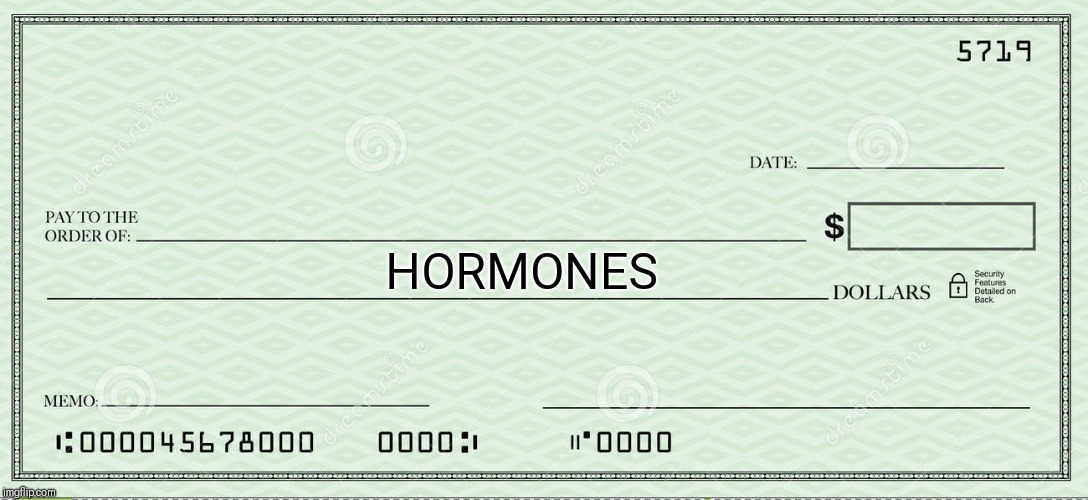 Blank Check | HORMONES | image tagged in blank check | made w/ Imgflip meme maker