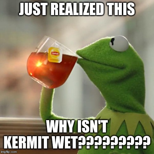 But That's None Of My Business Meme | JUST REALIZED THIS; WHY ISN'T KERMIT WET????????? | image tagged in memes,but thats none of my business,kermit the frog | made w/ Imgflip meme maker