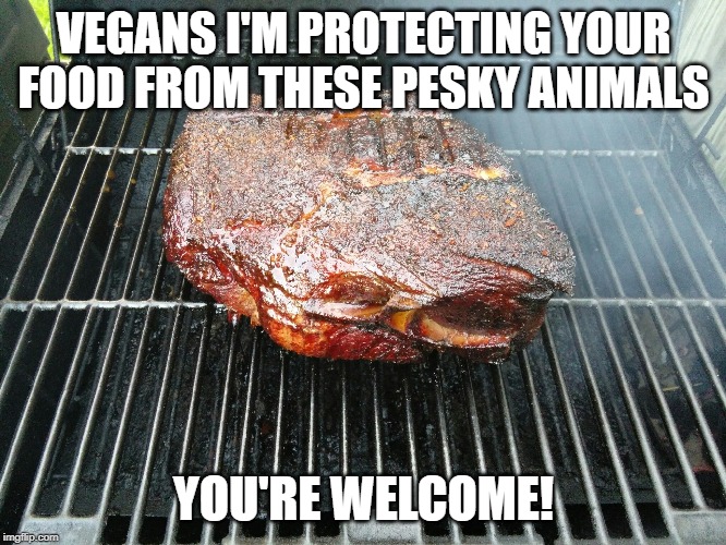  VEGANS I'M PROTECTING YOUR FOOD FROM THESE PESKY ANIMALS; YOU'RE WELCOME! | image tagged in bbq,meat,grilling,smoked meat,vegan,vegetarian | made w/ Imgflip meme maker