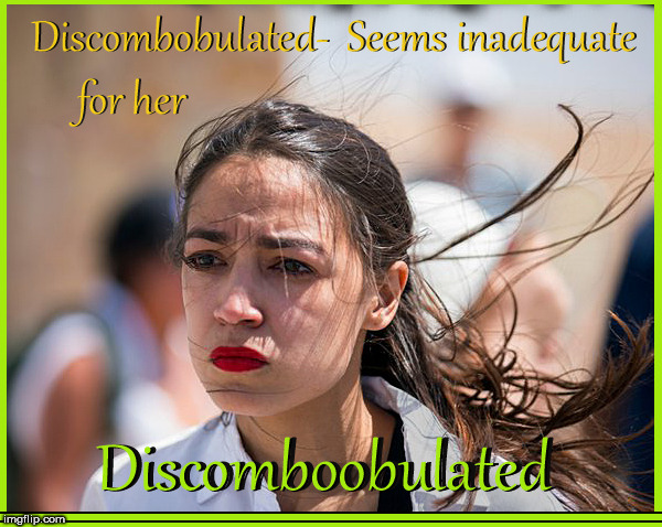 Discomboobulated | image tagged in discombobulated,discomboobulated,alexandria ocasio-cortez,babes,lol so funny,dumb women | made w/ Imgflip meme maker
