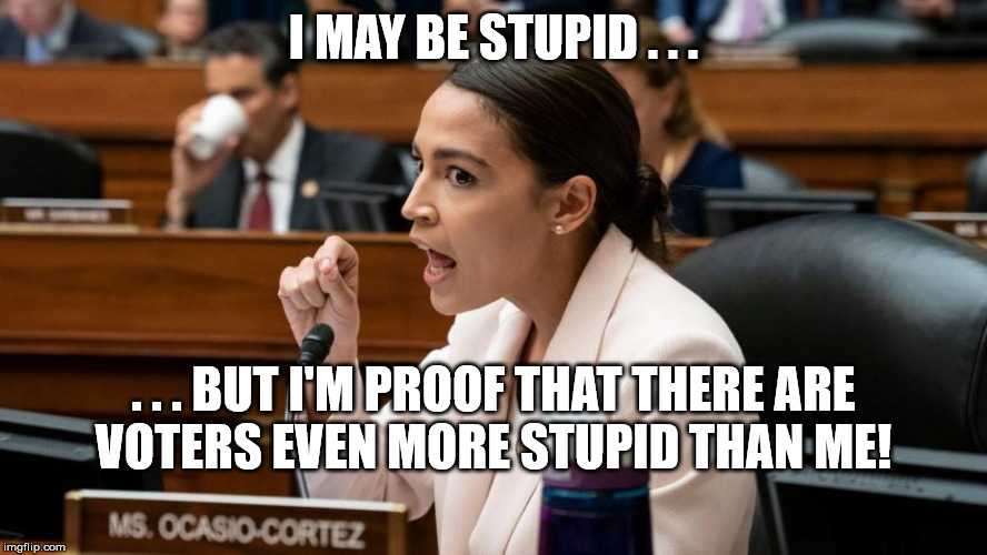 Alexandria Ocasio-Cortez being Assertive | I MAY BE STUPID . . . . . . BUT I'M PROOF THAT THERE ARE
VOTERS EVEN MORE STUPID THAN ME! | image tagged in alexandria ocasio-cortez being assertive | made w/ Imgflip meme maker