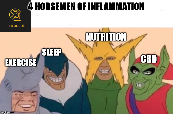 Me And The Boys Meme | 4 HORSEMEN OF INFLAMMATION; NUTRITION; EXERCISE; SLEEP; CBD | image tagged in memes,me and the boys | made w/ Imgflip meme maker