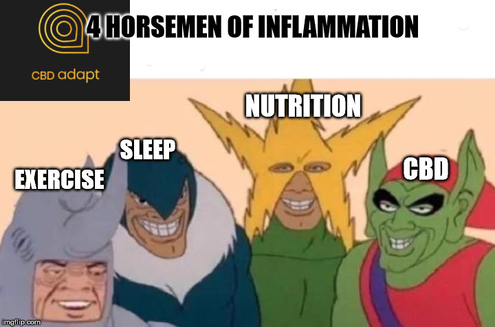 Me And The Boys Meme | 4 HORSEMEN OF INFLAMMATION; NUTRITION; EXERCISE; SLEEP; CBD | image tagged in memes,me and the boys | made w/ Imgflip meme maker